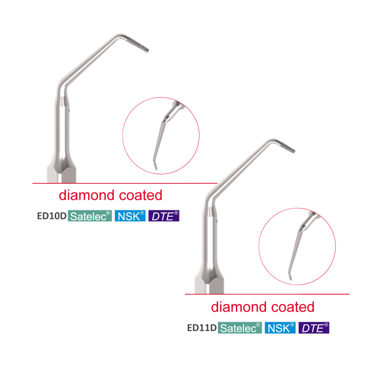 ED10D ED11D dental ultrasonic Satelec DTE scaler tip for Endodontic Treatment