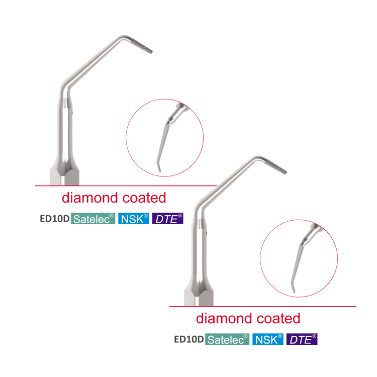 ED10D ED11D dental ultrasonic Satelec DTE scaler tip for Endodontic Treatment