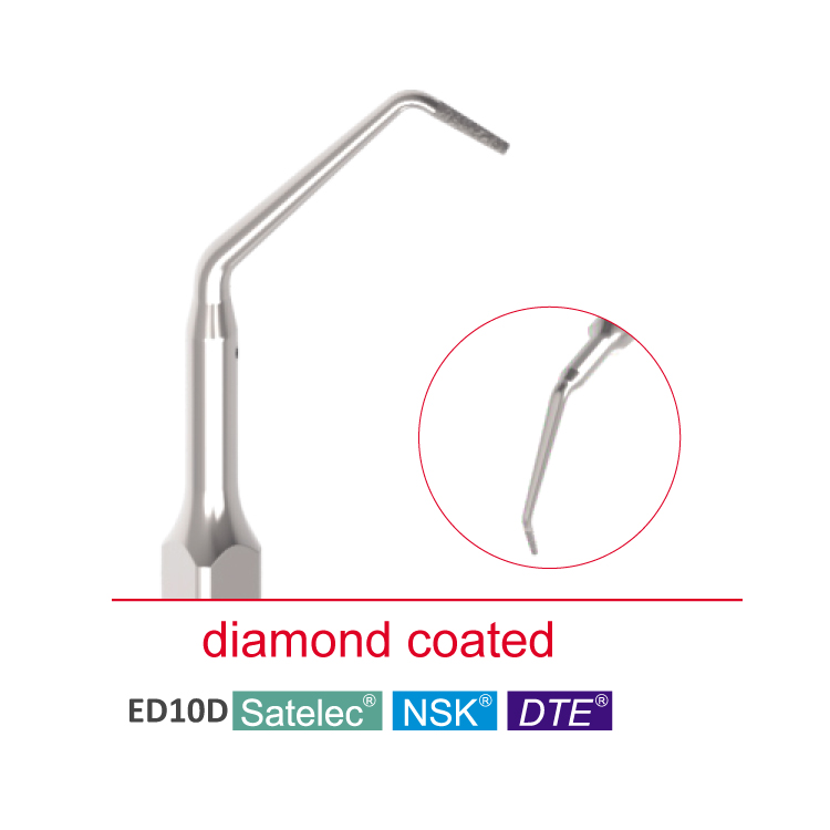 ED10D ED11D dental ultrasonic Satelec DTE scaler tip for Endodontic Treatment