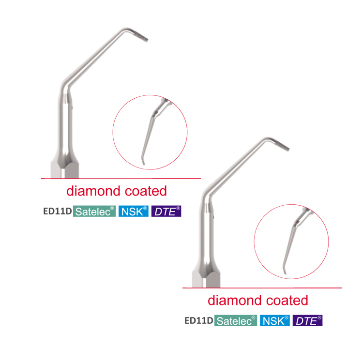 ED10D ED11D dental ultrasonic Satelec DTE scaler tip for Endodontic Treatment