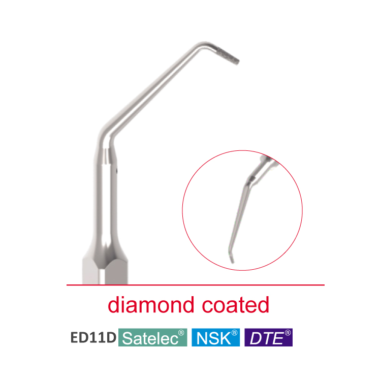 ED10D ED11D dental ultrasonic Satelec DTE scaler tip for Endodontic Treatment